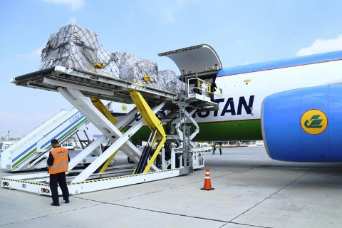 Loading cargos inside UZBEKISTAN AIRWAYS Cargo Airplane